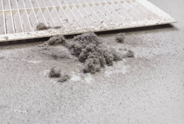 Best Air Duct Cleaning Near Me  in Newberry, FL