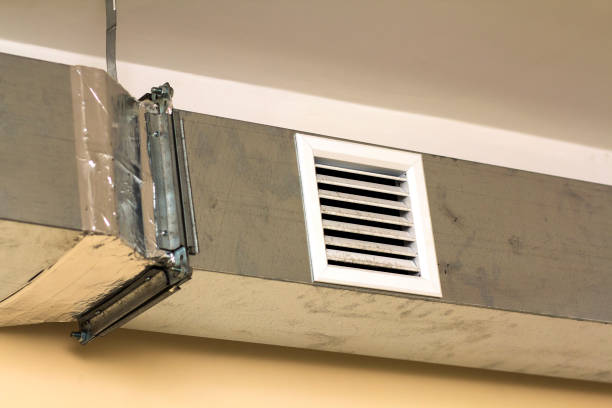 Best HVAC Duct Inspection Services  in Newberry, FL